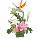 鱦ʻٵ