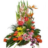 鱦ʻٵ
