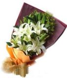鱦ʻٵ